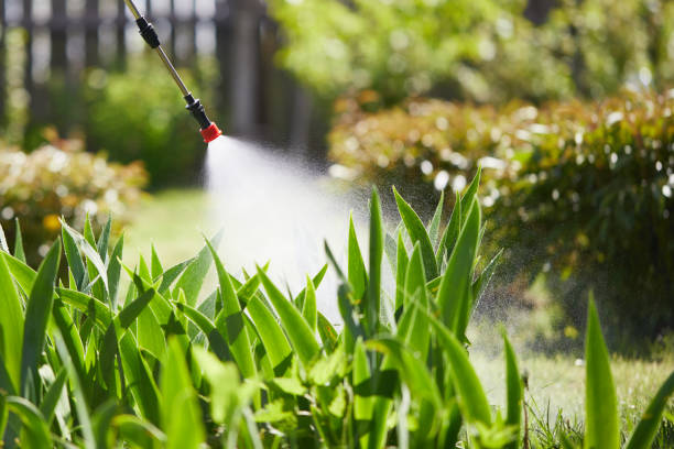 24/7 Emergency Wasp Removal experts in Bronson, FL