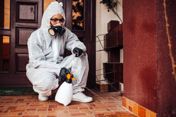 Reliable Wasp Removal contractor in Bronson, FL by Show Me Pest Control